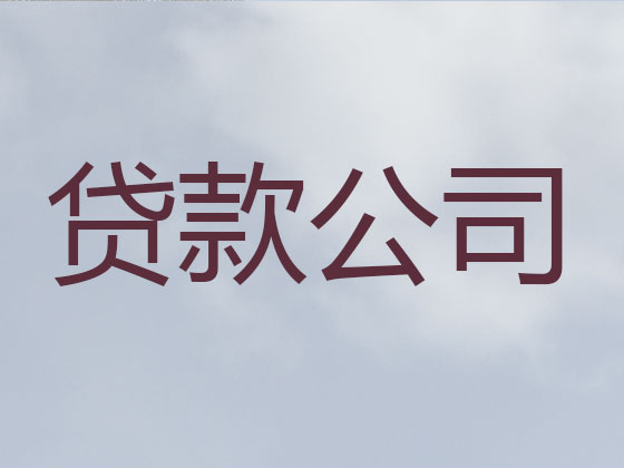 武安市抵押贷款公司-银行信用贷款